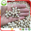 New Crop Chickpeas Kabuli Grade